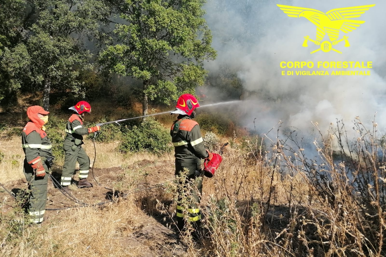 Serdiana, fiamme vicino alla provinciale 387: in fumo un ettaro di uliveti e pascoli