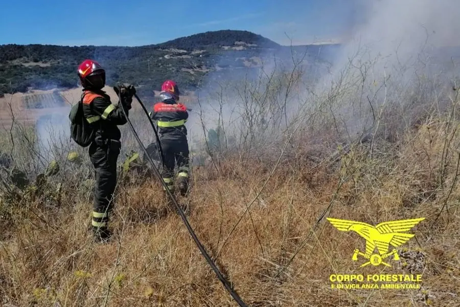 Foto simbolo (Corpo Forestale)