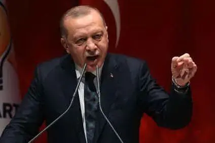 Erdogan (Ansa)