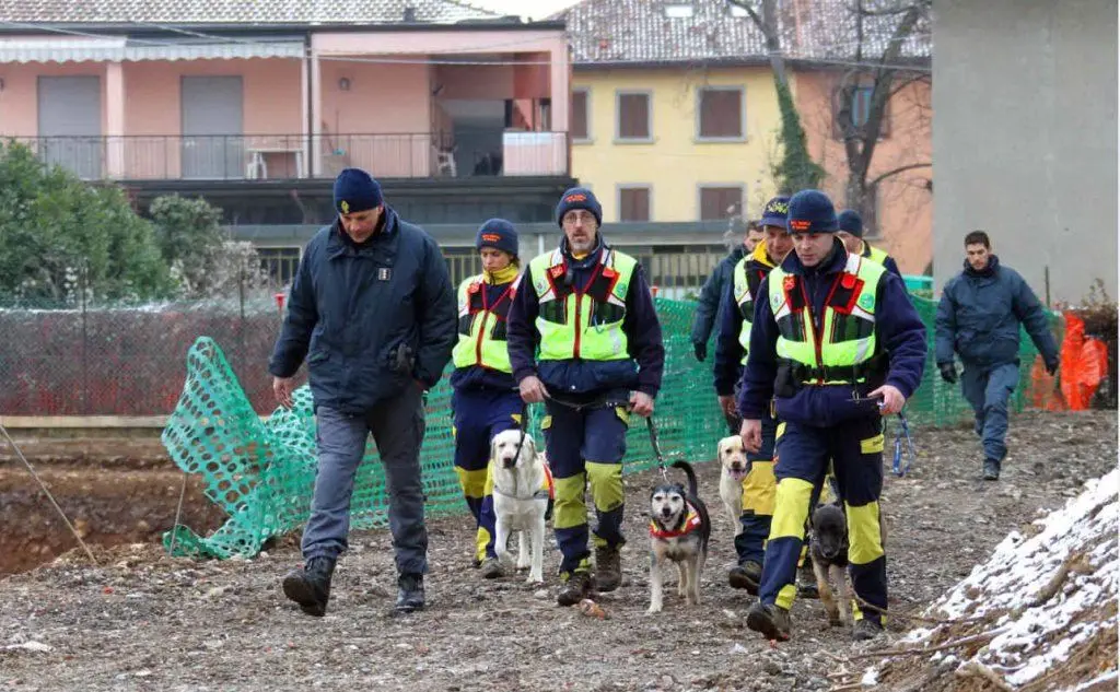 Un'immagine delle ricerche