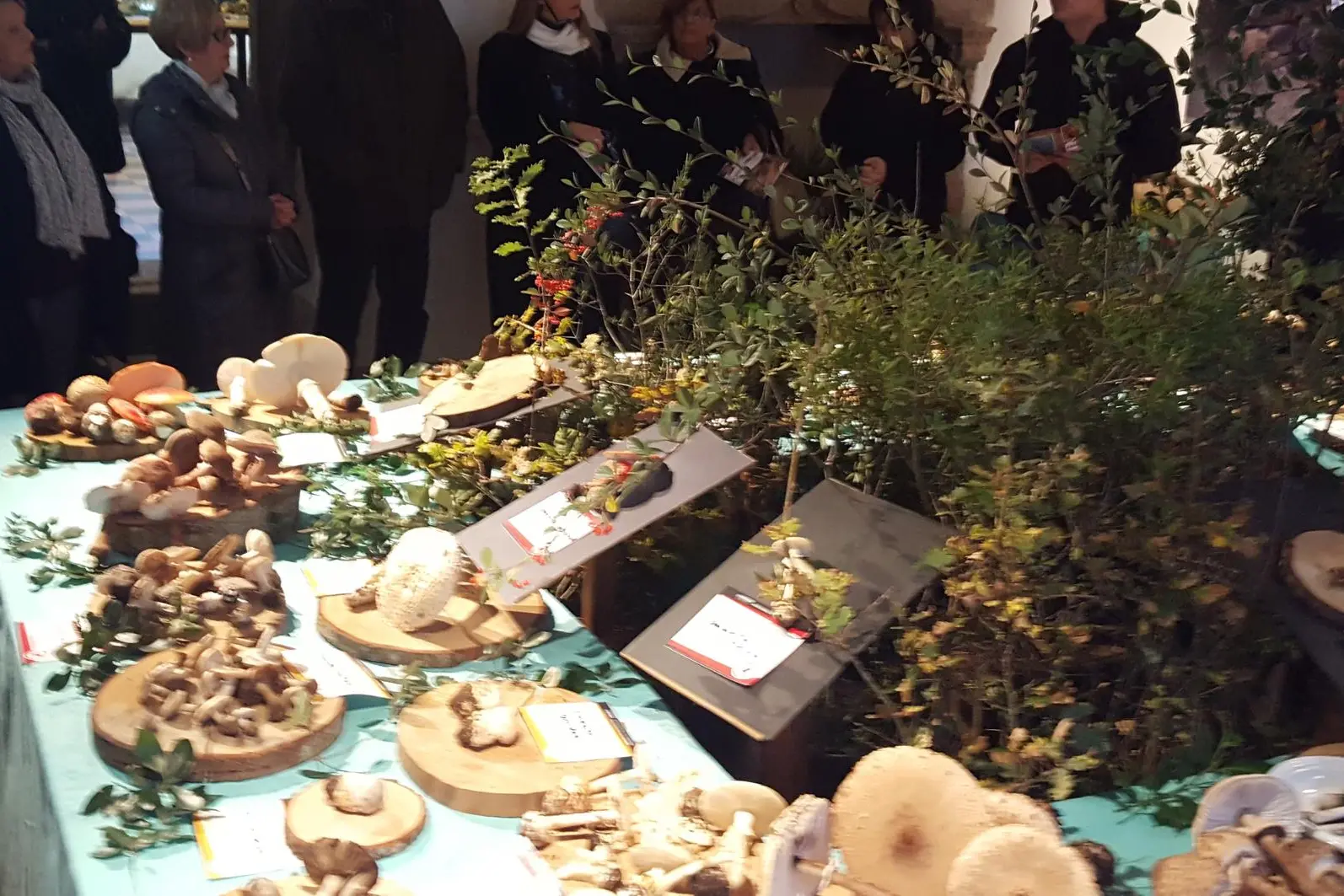 Mostra dei funghi (foto Oggianu)