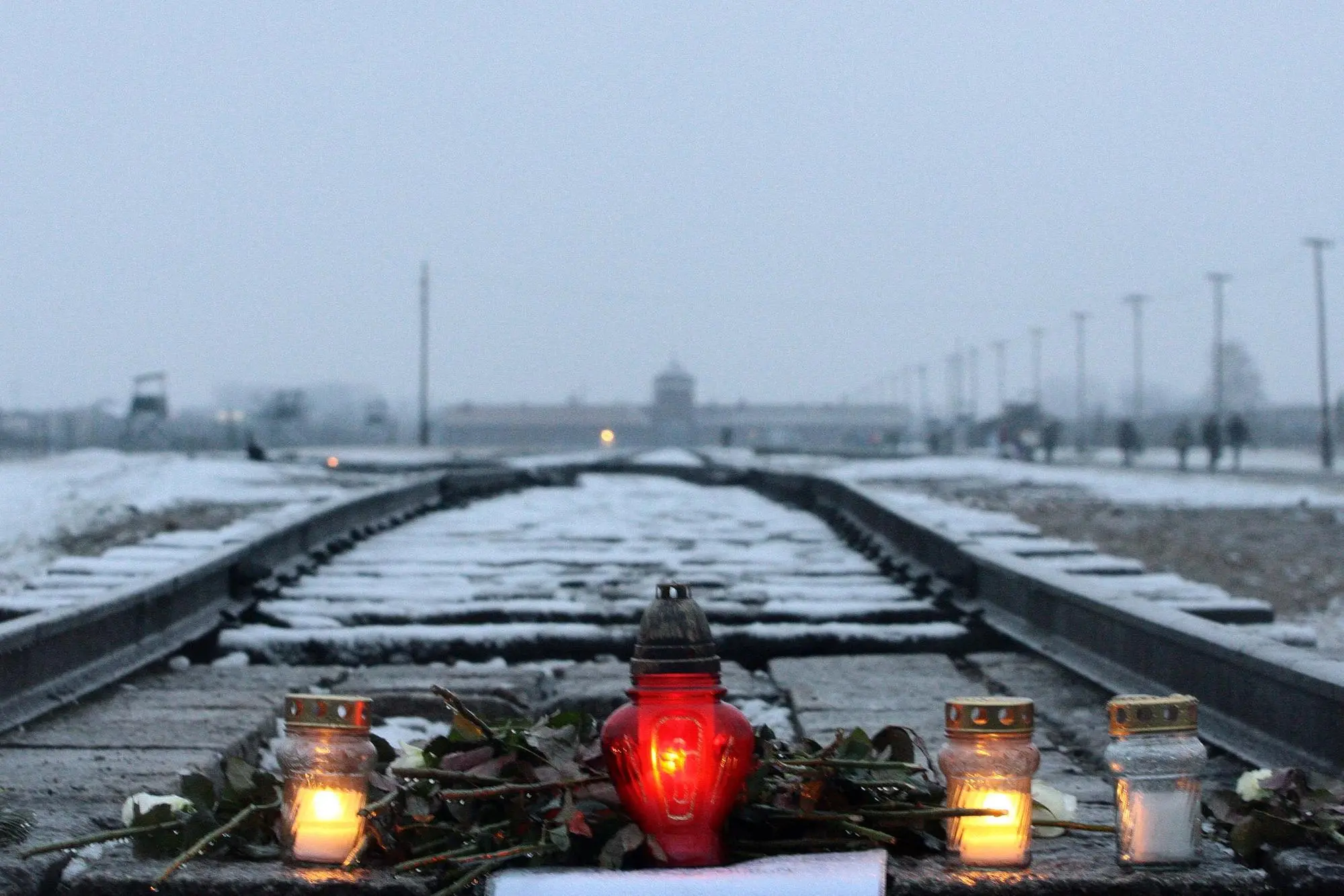 Giorno della Memoria (ANSA/CESARE ABBATE/DRN)