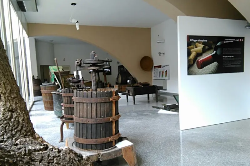 Il Museo del vino di Berchidda