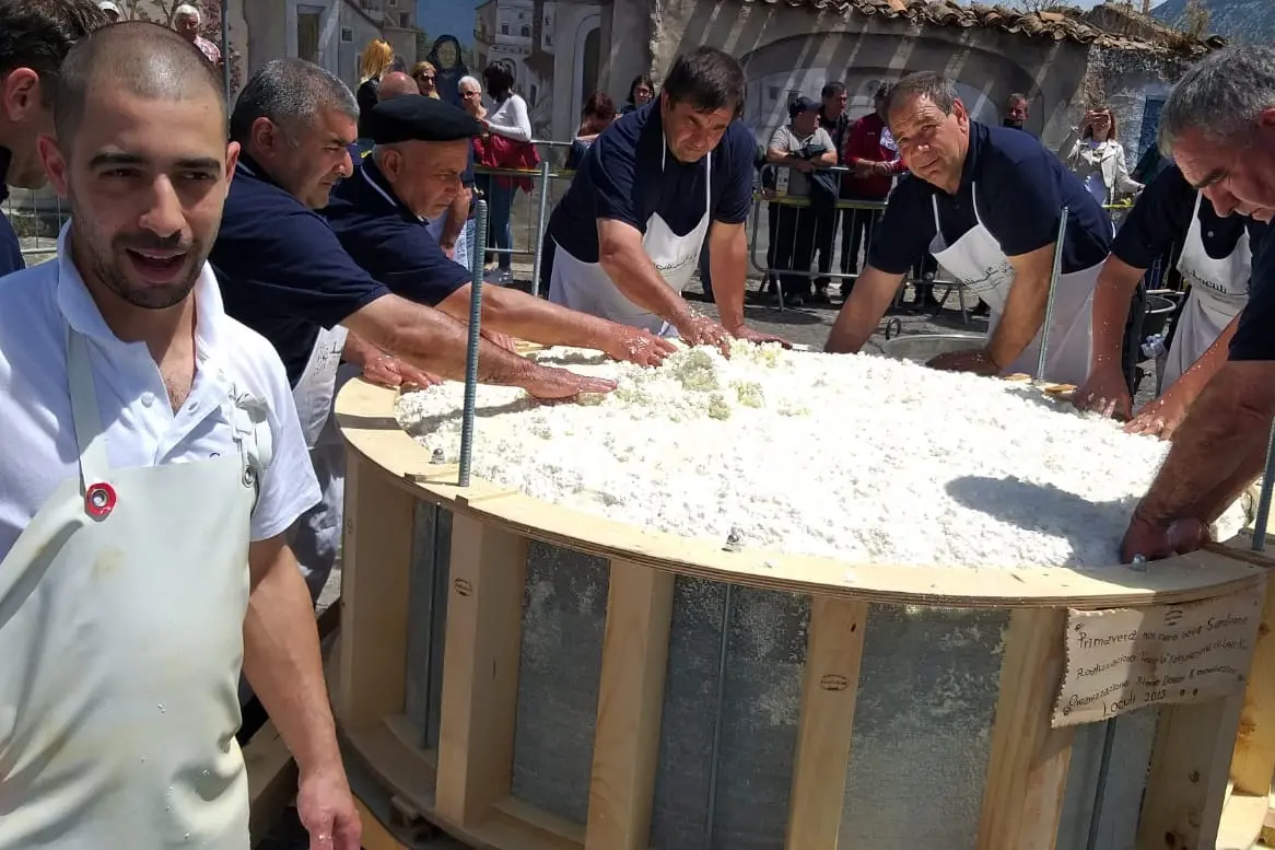 I pastori baroniesi preparano una maxi-forma di pecorino a Loculi (Archivio)