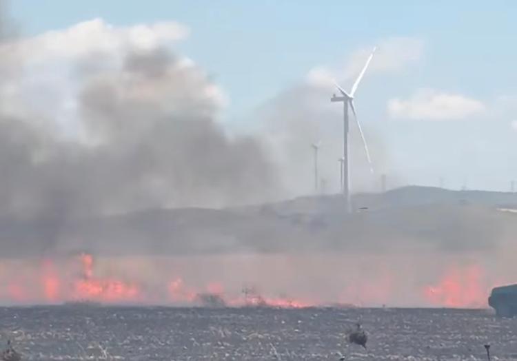 Stintino, grosso incendio vicino a un impianto eolico: in volo due elicotteri