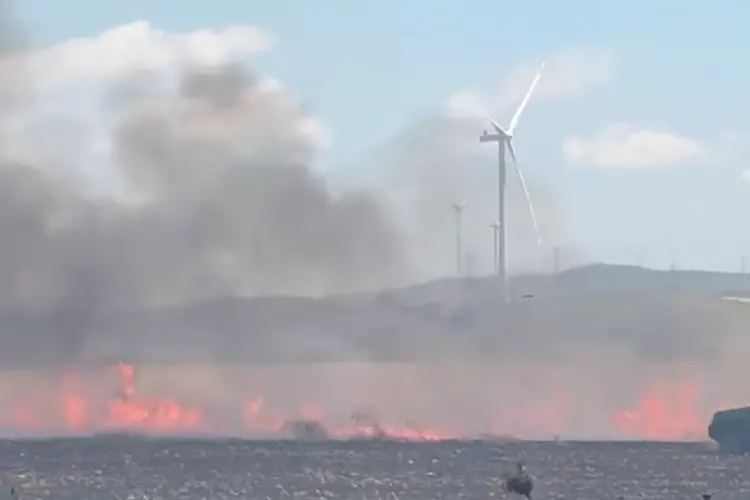 Fuoco a Stintino (foto concessa)