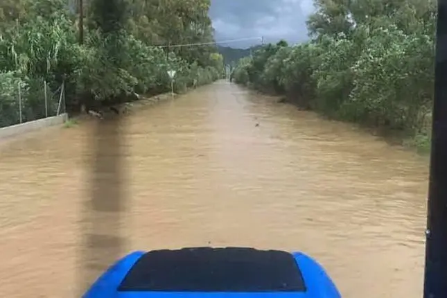 Un allagamento (foto Coldiretti Sardegna)