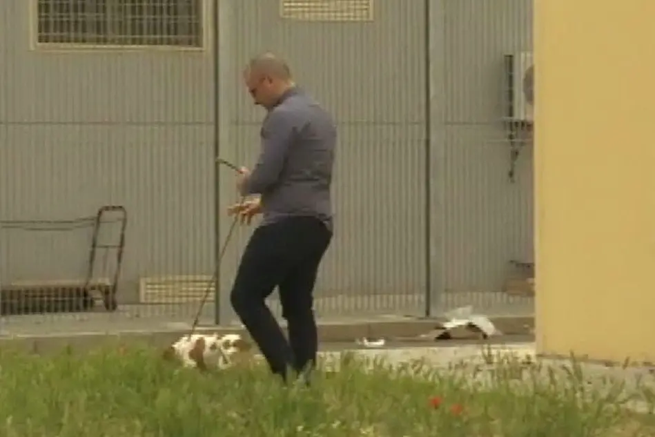 Un detenuto con un cane fotografato lo scorso anno