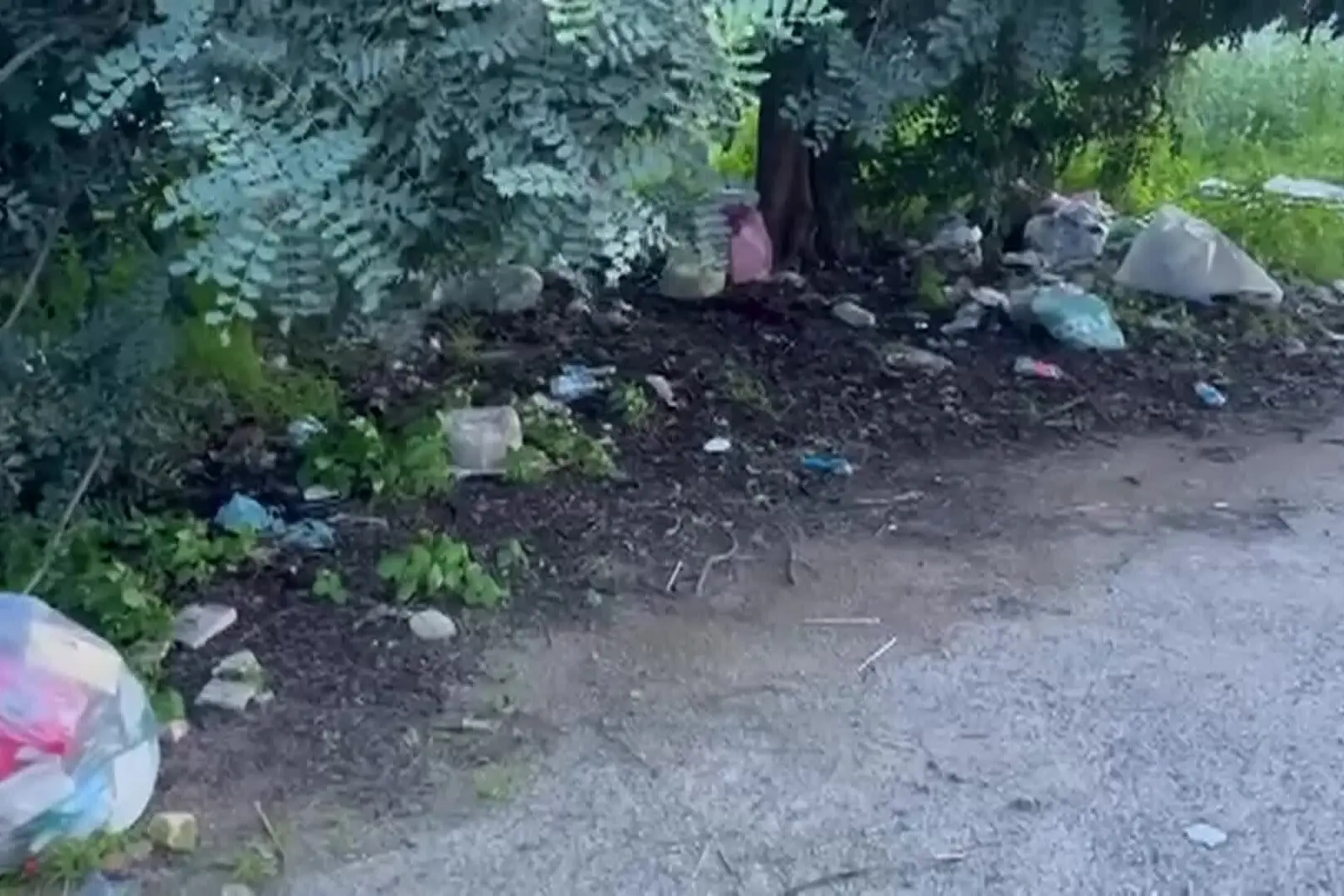 Cagliari, la discarica via Stamira: dietro un cespuglio rifiuti di ogni genere