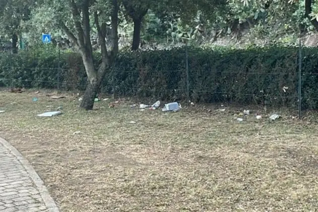 I rifiuti nel parco comunale di Bono (foto concessa)