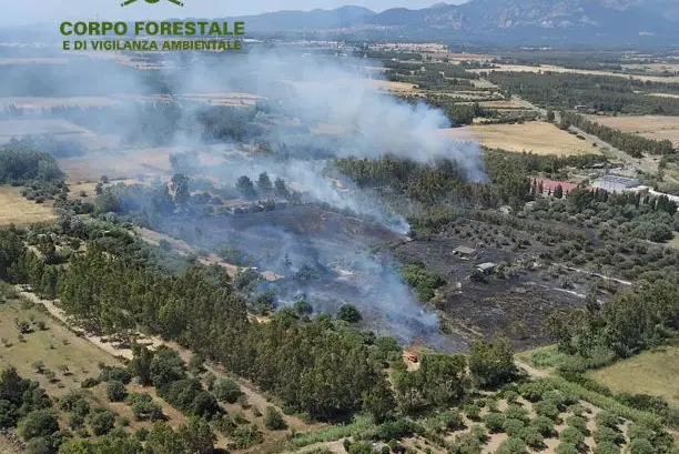 (Foto Corpo Forestale)