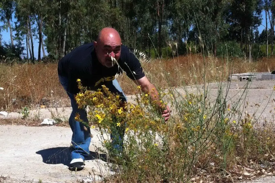 Marcello Pitzalis
