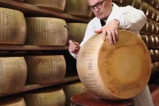 Parmigiano Reggiano a TuttoFood: export I trim +1,8%, focus formazione