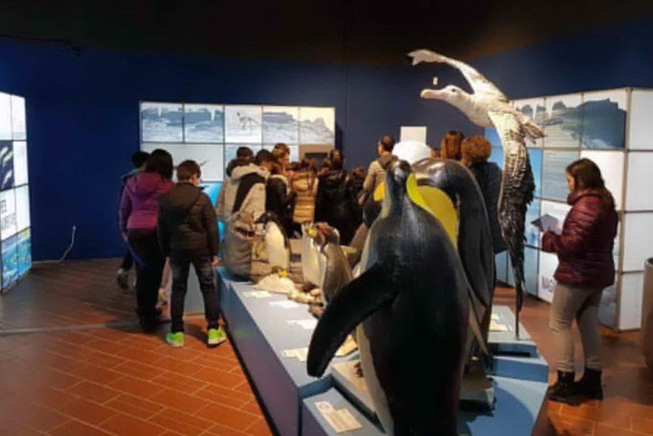 &quot;Avventura tra i ghiacci&quot;, la mostra ospite del museo de Sa Corona Arrubia