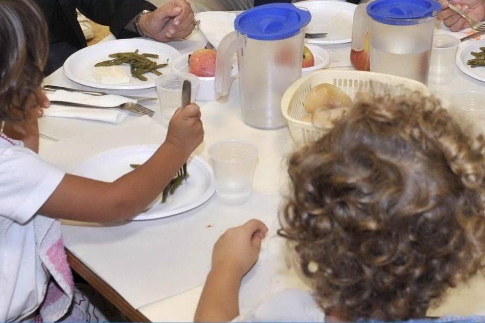 I piatti biodegradabili si sciolgono con il cibo, sequestro in una mensa scolastica