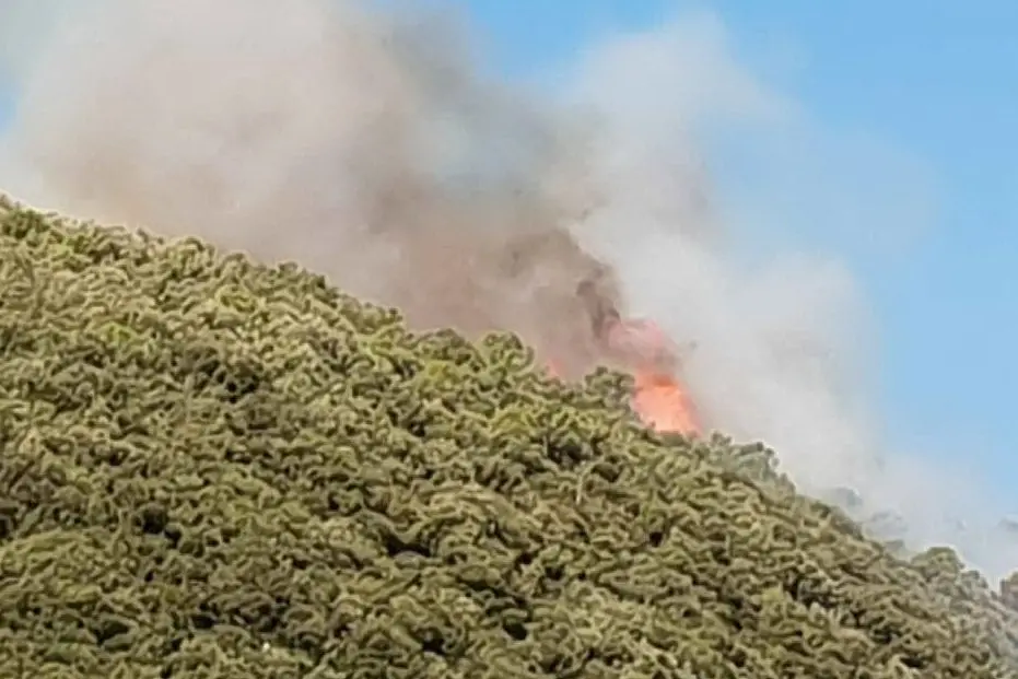 Incendio Monte Serra (Ansa)