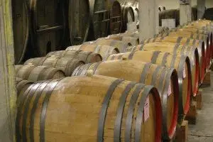 Rilancio della vernaccia di Oristano