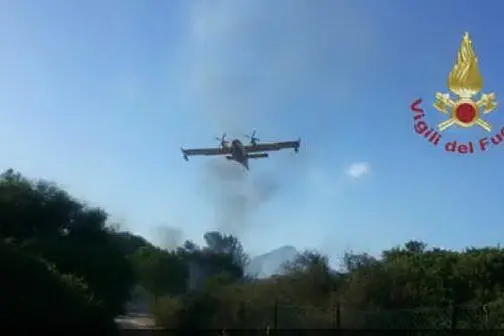 Un canadair in azione