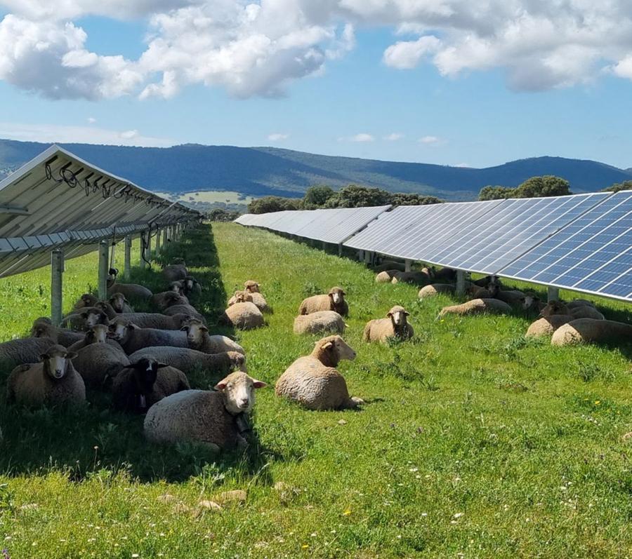 I pannelli riempiono il vuoto normativo