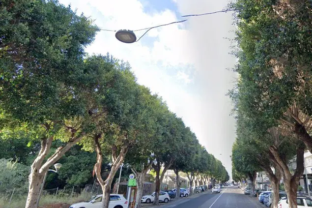 卡利亚里的 Viale Trieste（存档撒丁岛联盟）