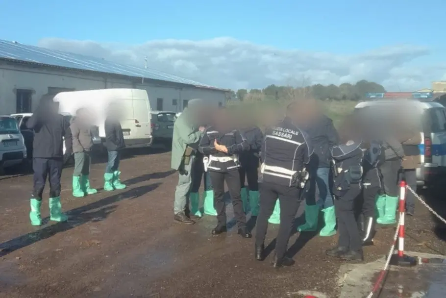 L'ispezione della polizia locale