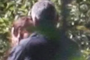Gwroge Clooney e Villante Palcido