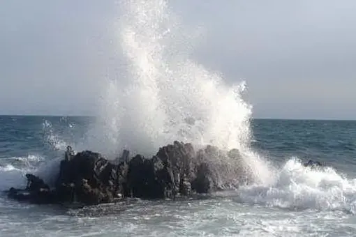 Immagine simbolo