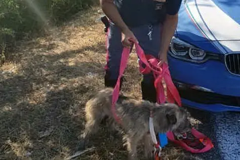 La polizia stradale di Laconi e il cane salvato (foto L'Unione Sarda - Pintori)