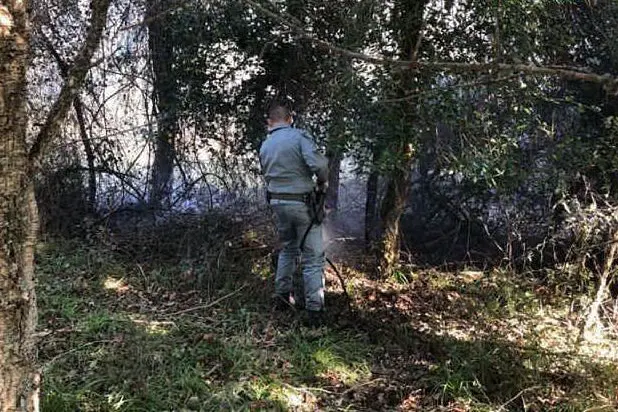 Un agente impegnato nello spegnimento di un incendio (foto Corpo forestale)