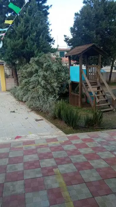 L'albero caduto a Orosei (Ansa)