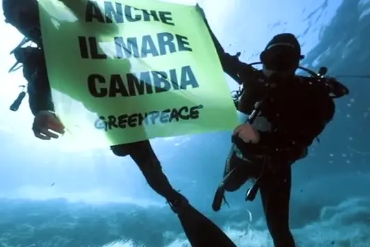 Greenpeace: nei fondali di Ustica forti segnali di stress termico
