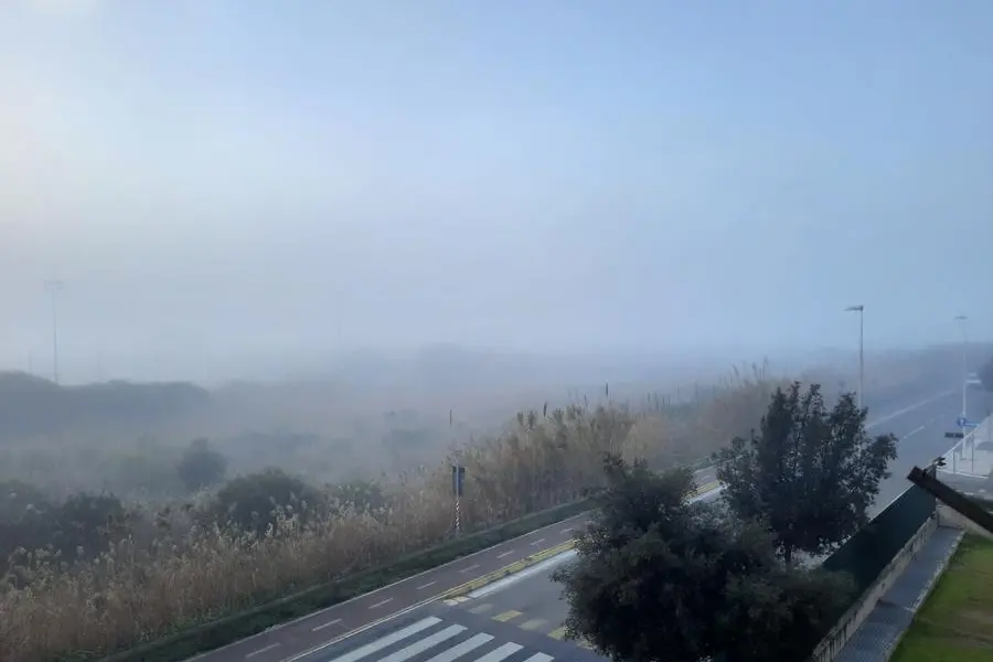 La nebbia (foto Vercelli)