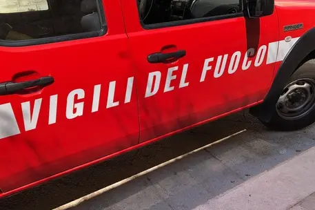 Vigili del fuoco (Ansa)