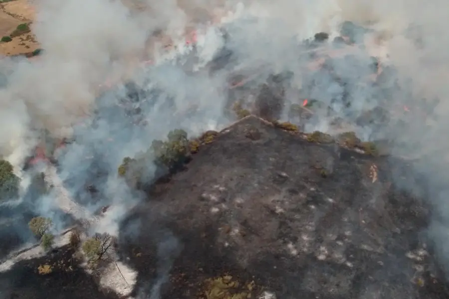 L'incendio a Gergei (foto Corpo forestale)