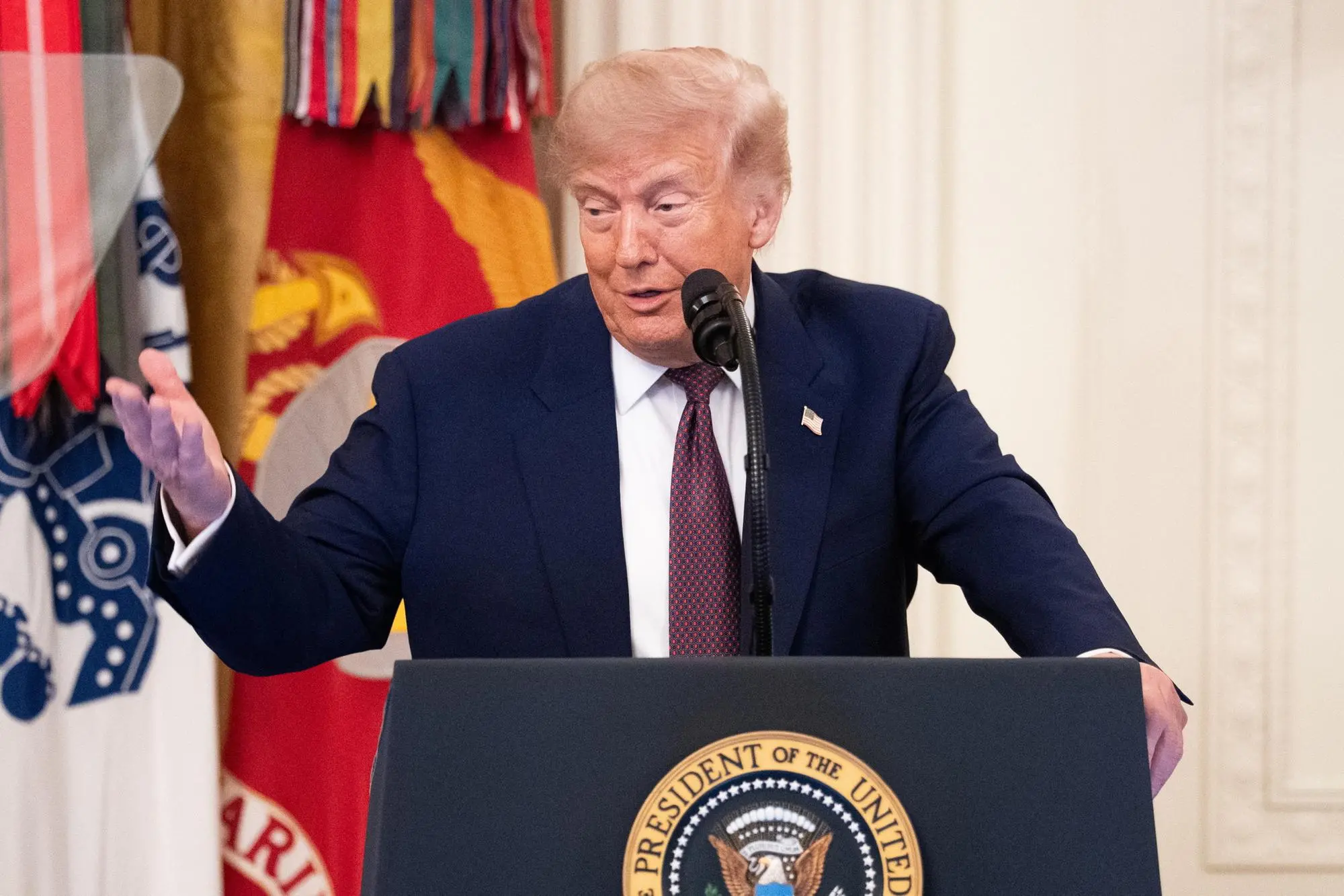 Trump sferza l’Ue: «Tutte quelle pale eoliche sono un disastro»