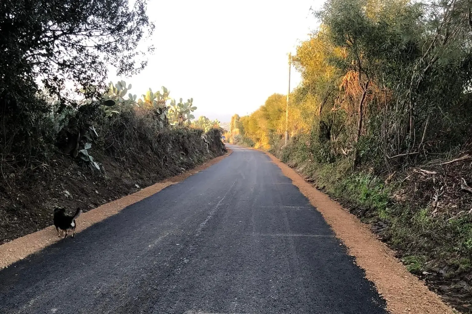 La strada asfaltata (foto Pinna)