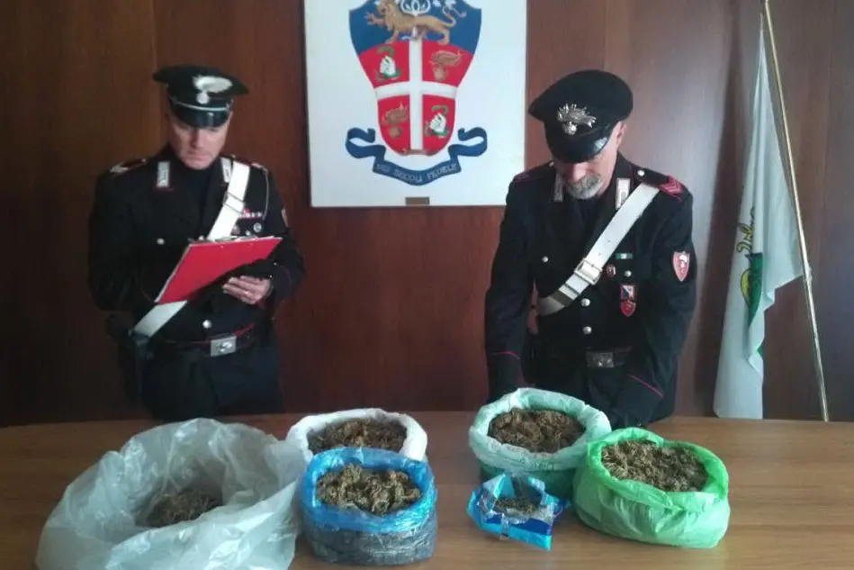 La marijuana sequestrata (Foto Carabinieri)