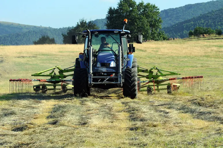 Dal mondo dell'agricoltura sarda un appello alla presidente Alessandra Todde