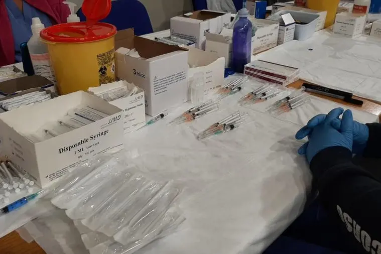 Vaccini (Ansa)