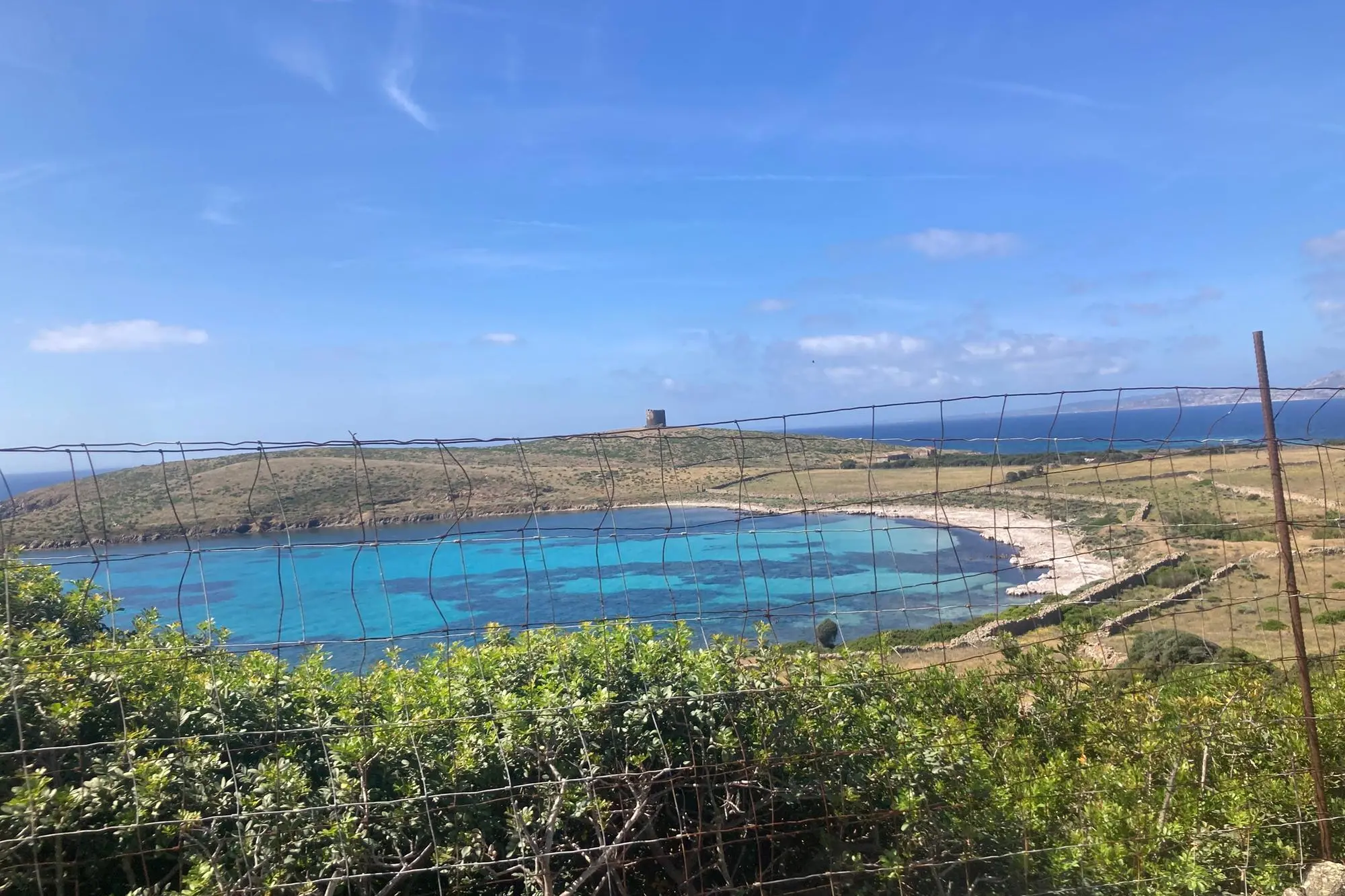L'Asinara (foto Pala)