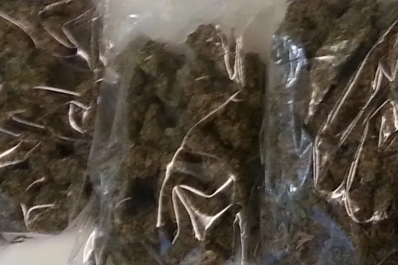 Marijuana pronta per essere venduta - foto d'archivio