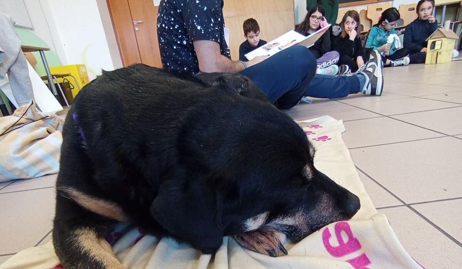 Scuodinzola, alla Porcu-Satta si fa lezione con il cane