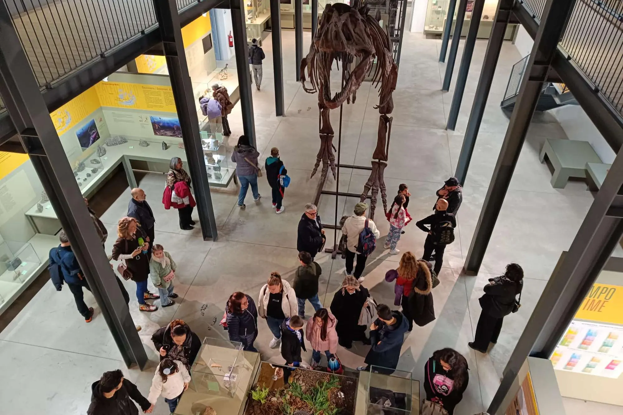 Il T Rex al Paleontologico di Carbonia. (foto Scano)