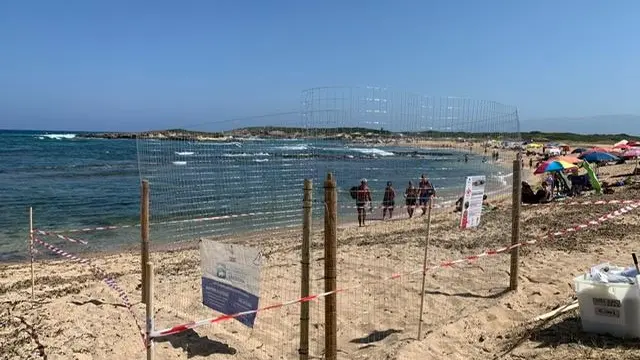 https://immagini.unionesarda.it/version/c:YTZjMDdjY2MtMDYwNi00:NjhlNGI2MDctZjZiNy00/image.webp?f=16:9