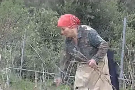 i SARDI I PIù LONGEVI