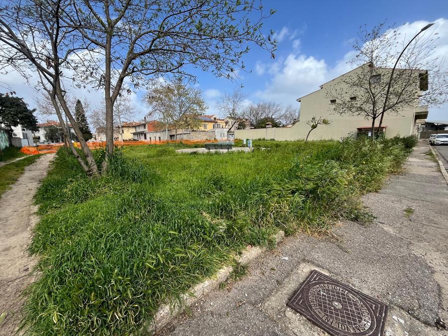 Oristano, lotta alle erbacce: al via il piano di diserbo