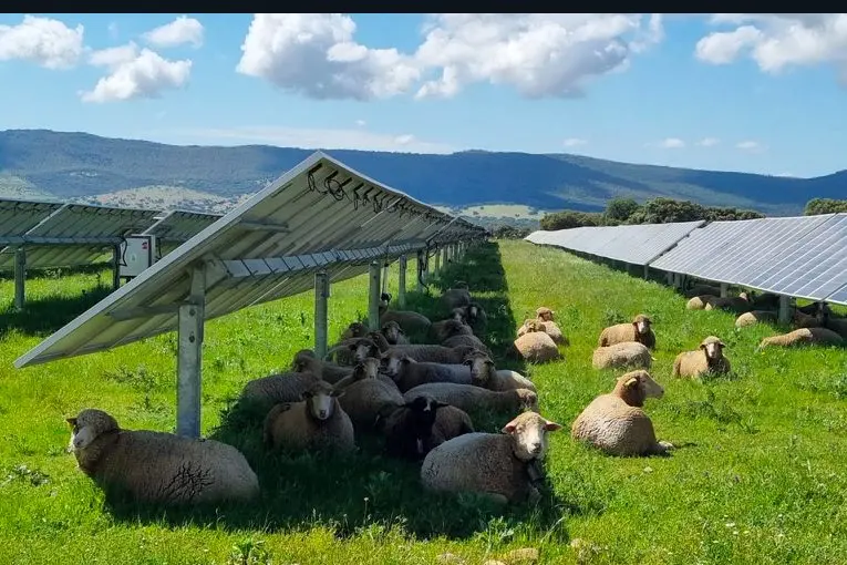 Impianto Agrivoltaico