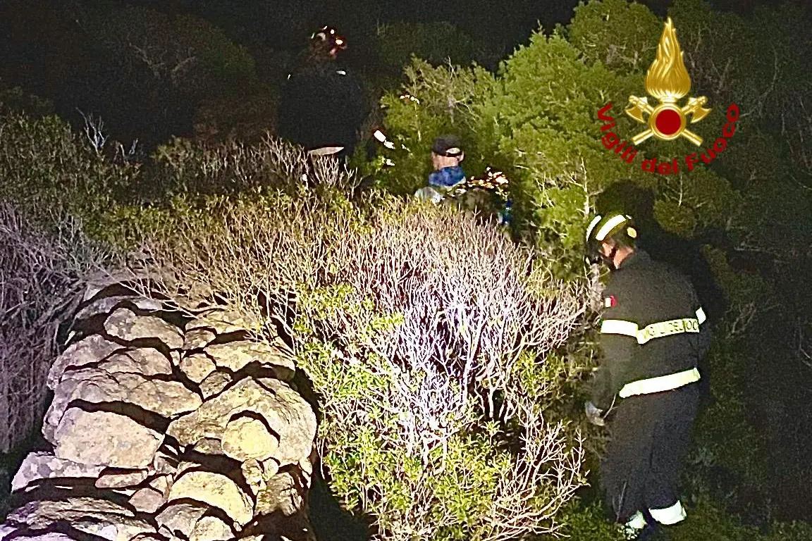 L'intervento dei vigili del fuoco (foto vvff)