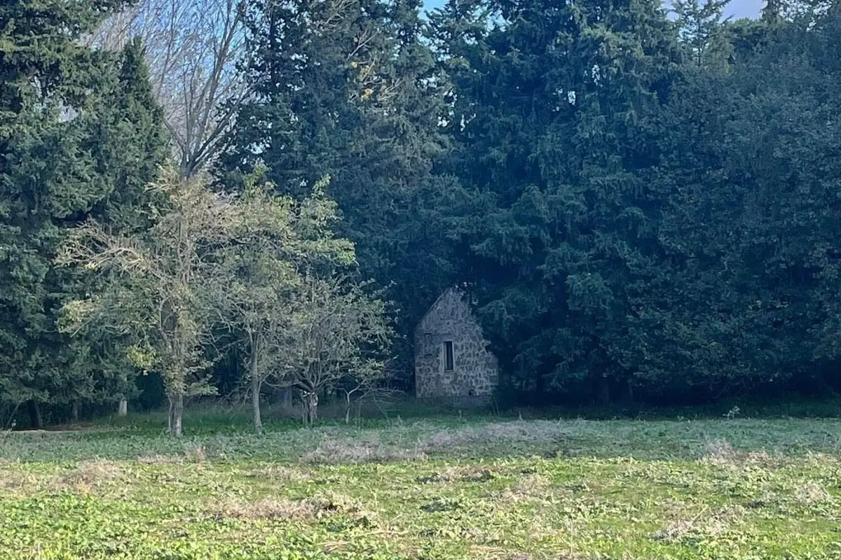 L'area dove sorgerà il Frutteto Storico a Curcuris (foto concessa)