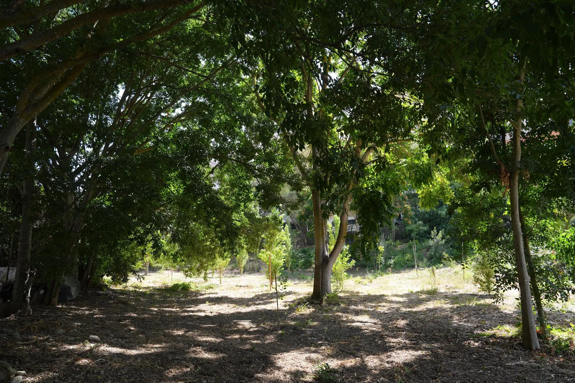 Valle Rosello. Una parte dell'ettaro privato